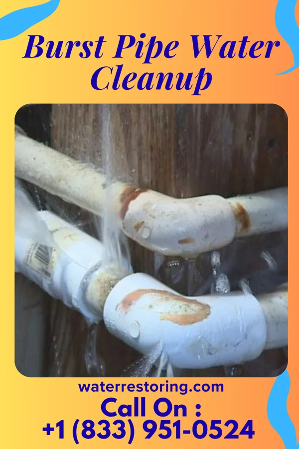 Burst Pipe Water Cleanup in Belmont, WI