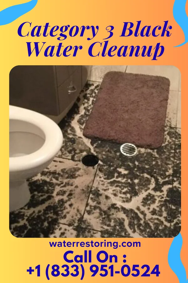 Category 3 Black Water Cleanup in Belmont, WI