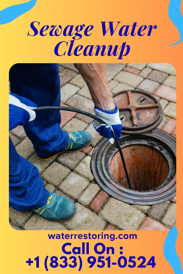 Sewage Water Cleanup in Belmont, WI