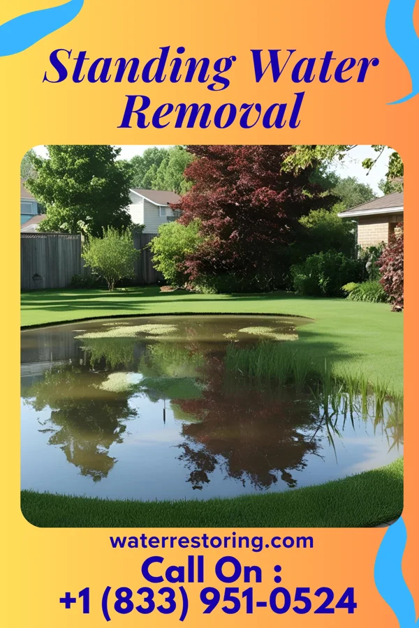 Standing Water Removal in Belmont, WI
